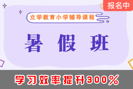 郴州小学暑假班辅导补习班课程